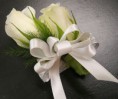 /album/galeria/rosas-blancas-31-jpg/
